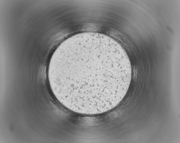 X0000115520302200912040934