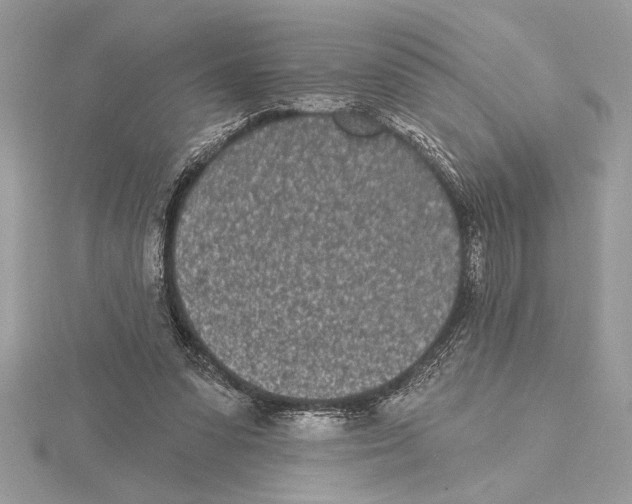 X0000115520303200912040934