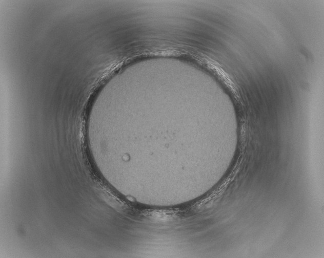 X0000115520305200912040934