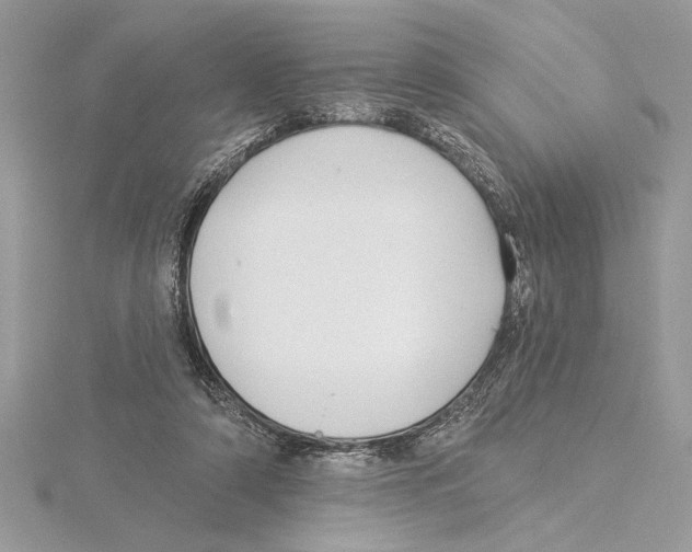 X0000115520306200912040934