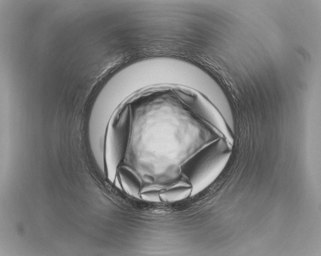 X0000115520308200912040934