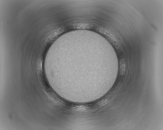 X0000115520310200912040934