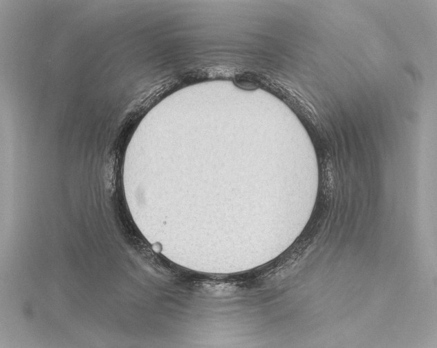 X0000115520311200912040934