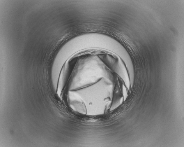 X0000115520312200912040934