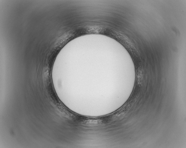 X0000115520314200912040934