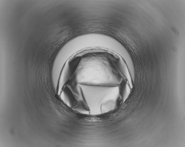 X0000115520316200912040934