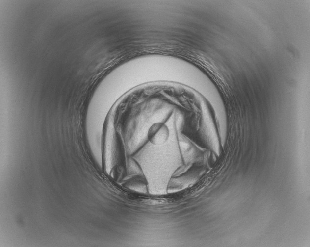 X0000115520317200912040934