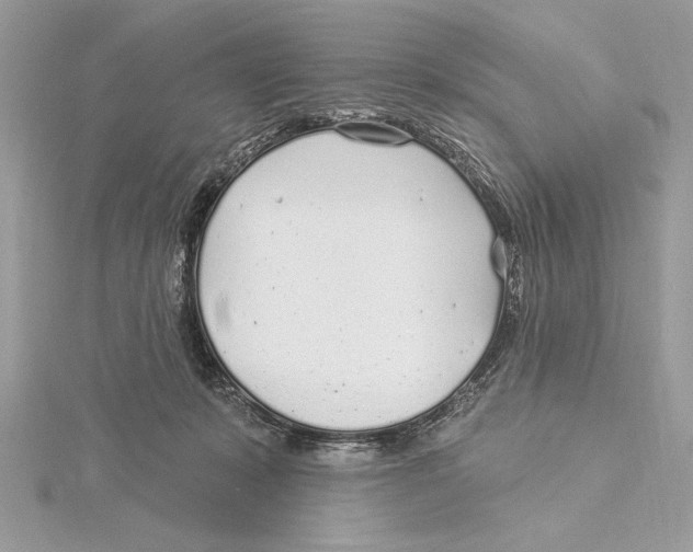 X0000115520319200912040934