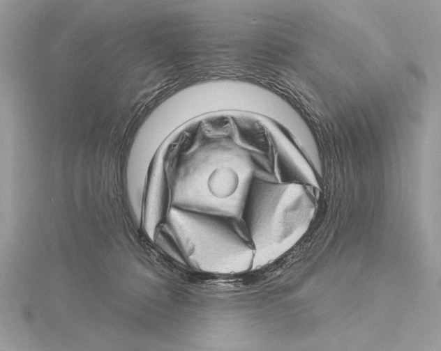 X0000115520320200912040934