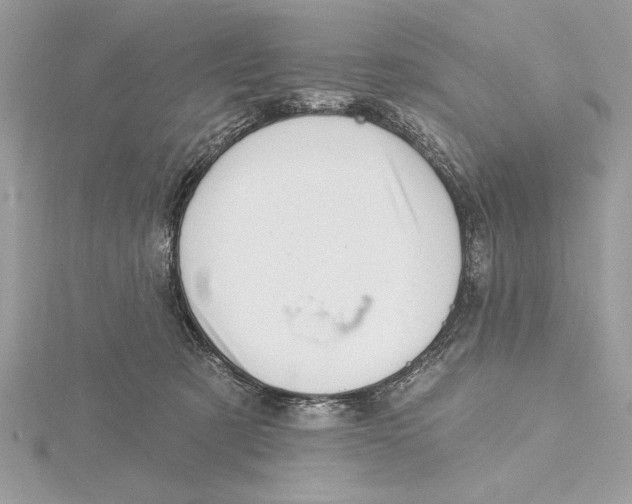 X0000115520321200912040934