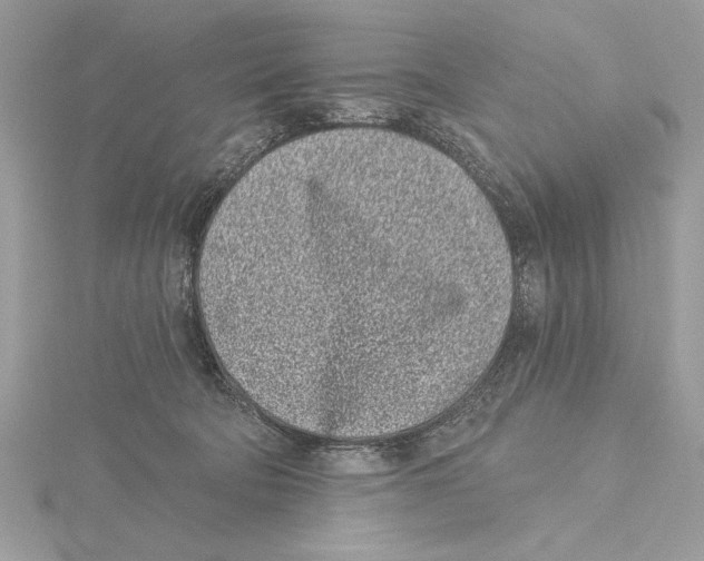 X0000115520322200912040934