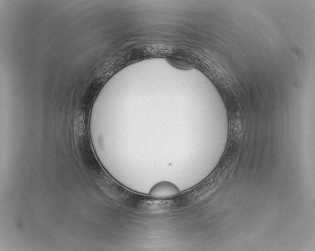 X0000115520323200912040934