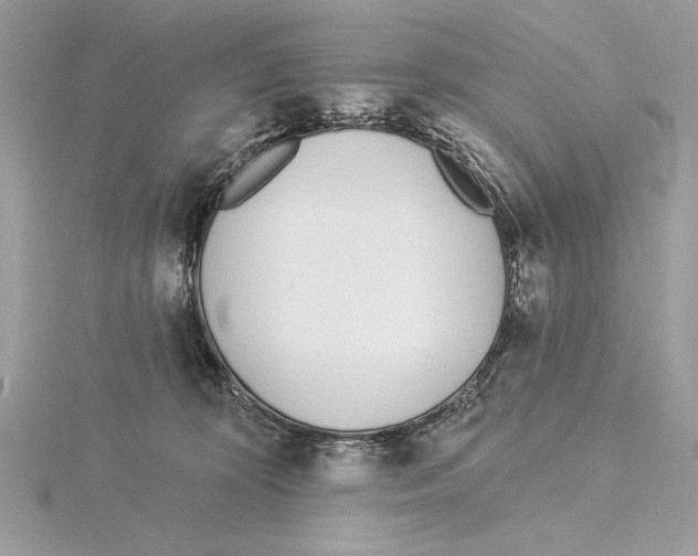 X0000115520324200912040934