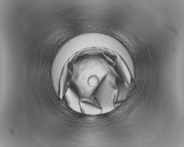 X0000115520325200912040934