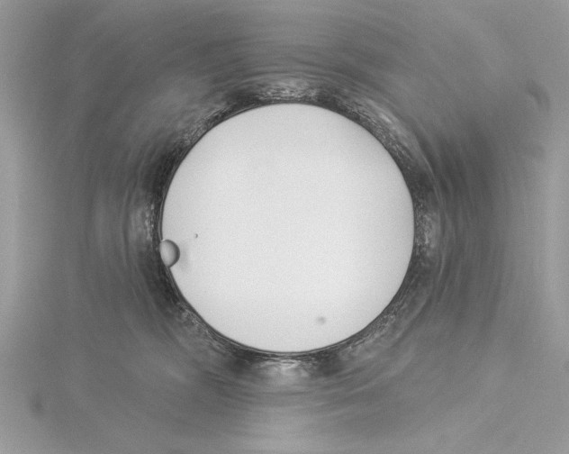 X0000115520326200912040934