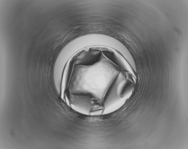 X0000115520327200912040934