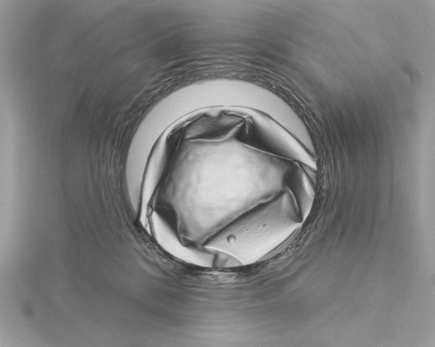 X0000115520328200912040934