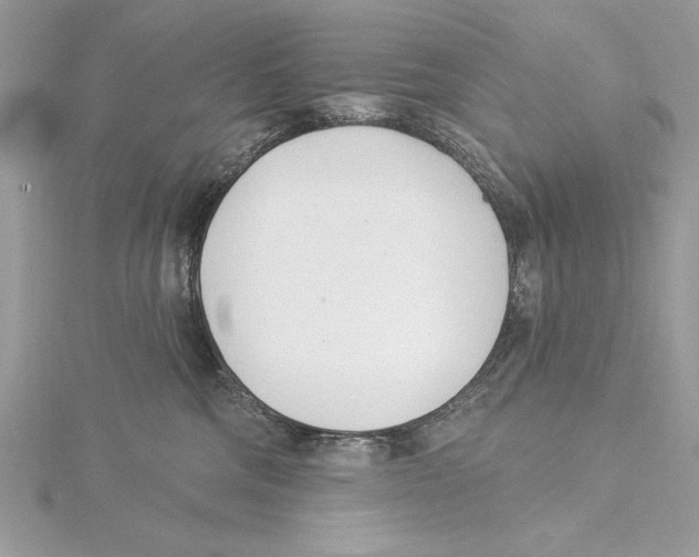 X0000115520330200912040934