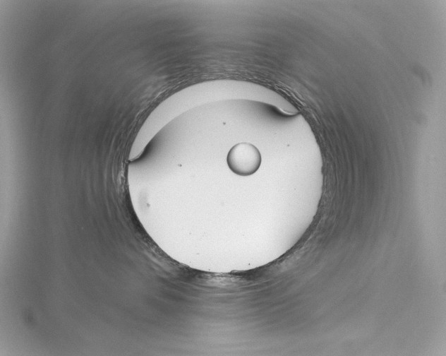 X0000115520336200912040934