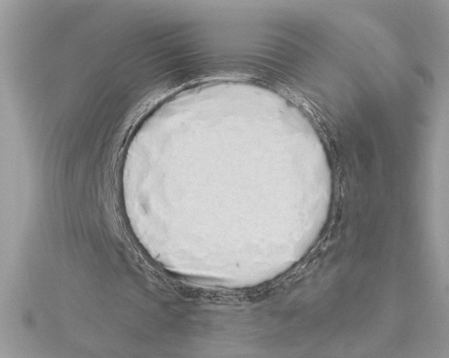 X0000115520337200912040933