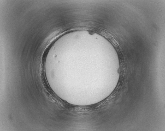 X0000115520338200912040933