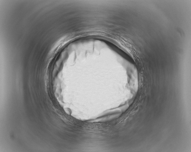 X0000115520339200912040933