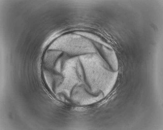 X0000115520341200912040933