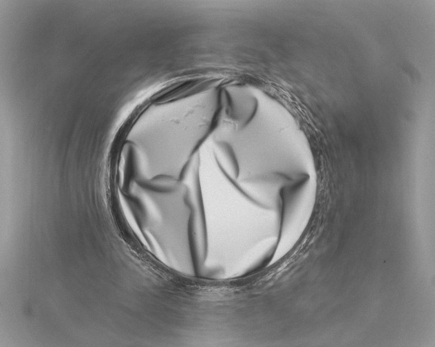 X0000115520342200912040933