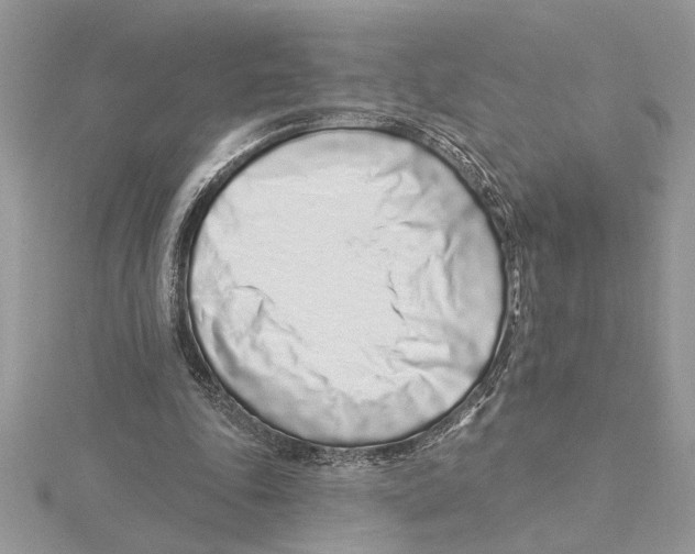 X0000115520343200912040933