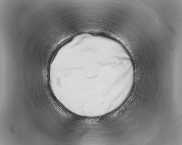 X0000115520345200912040933