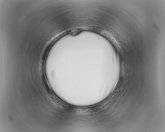 X0000115520346200912040933