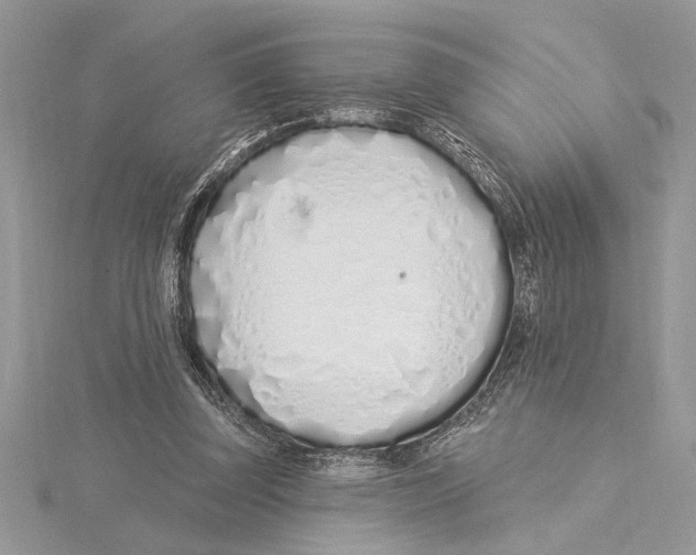 X0000115520347200912040933