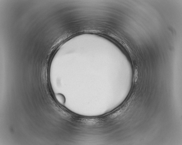 X0000115520349200912040933