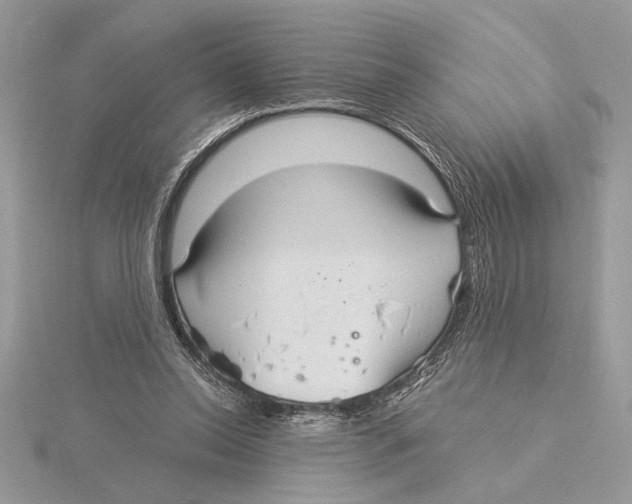 X0000115520350200912040933