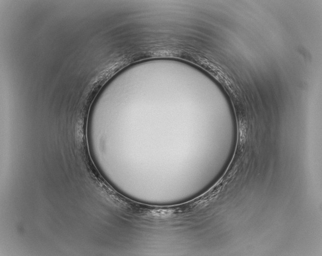 X0000115520353200912040933