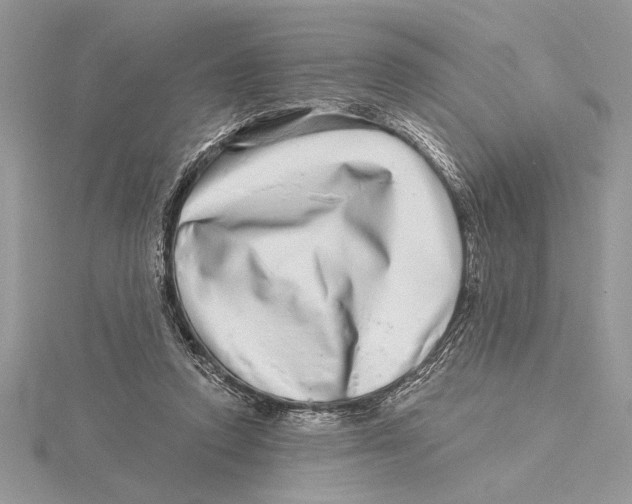 X0000115520354200912040933