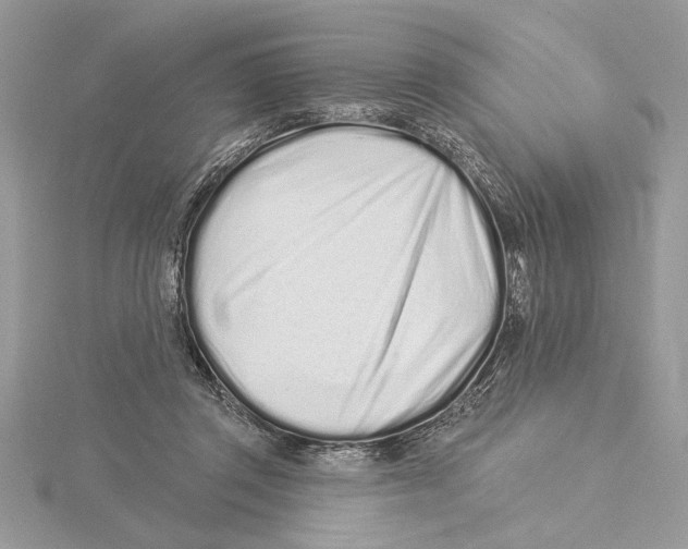 X0000115520357200912040933