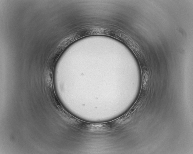 X0000115520361200912040933