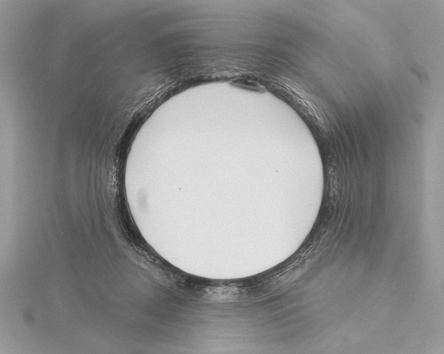 X0000115520362200912040934