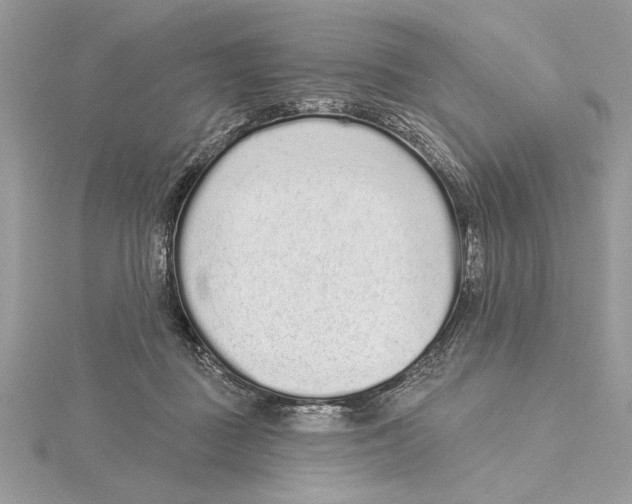 X0000115520363200912040934