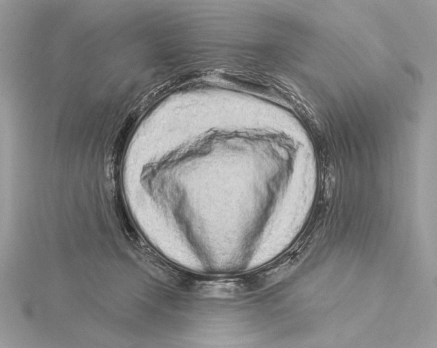 X0000115520366200912040934