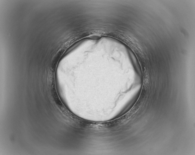 X0000115520367200912040934