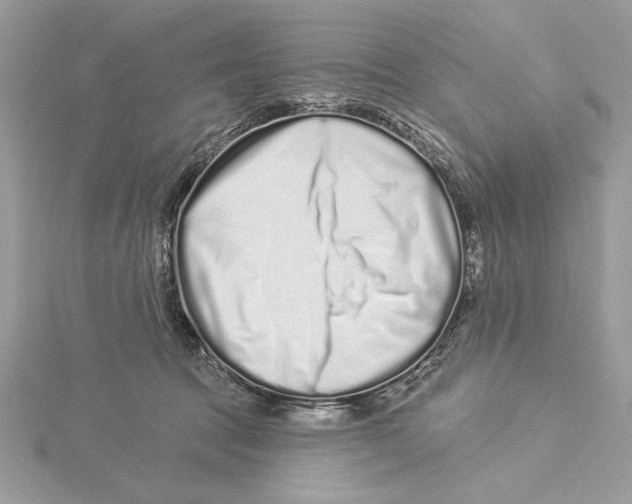 X0000115520369200912040934