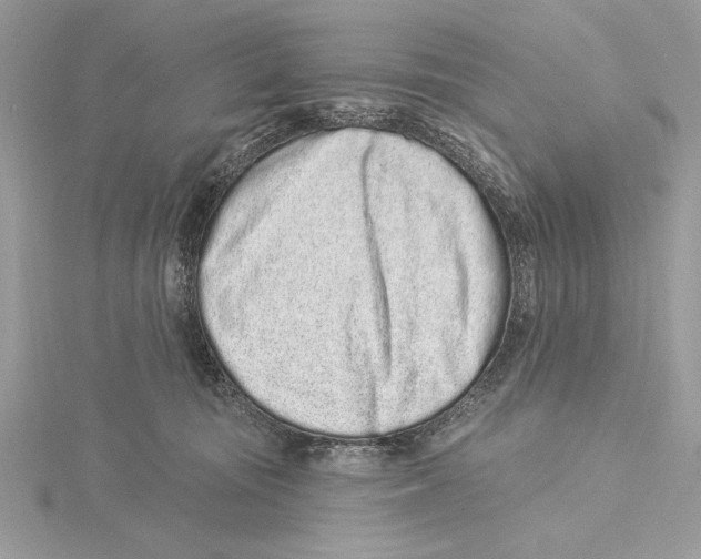 X0000115520371200912040934