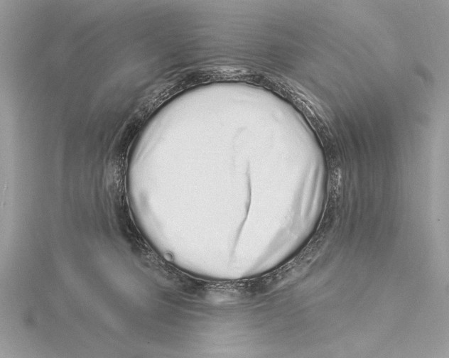 X0000115520373200912040934