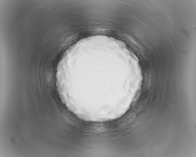 X0000115520377200912040934