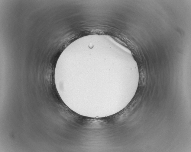 X0000115520379200912040934