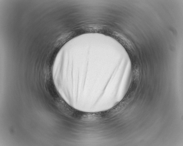 X0000115520381200912040934