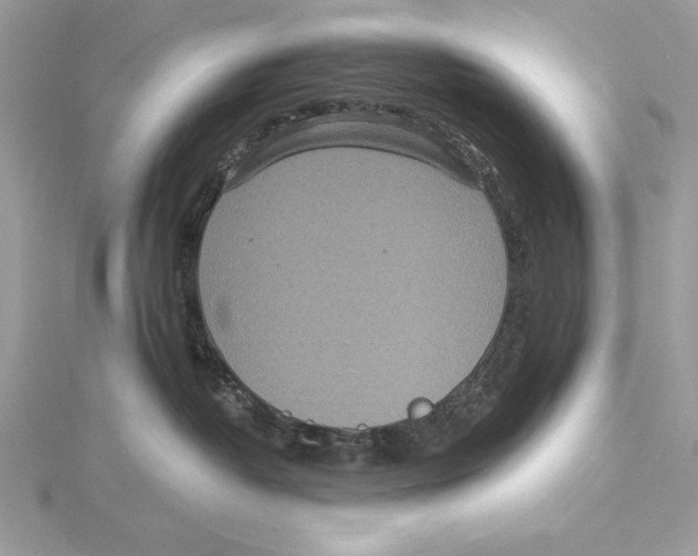 X0000115520382200912040934