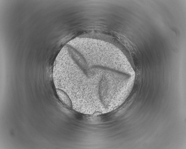 X0000115520383200912040934